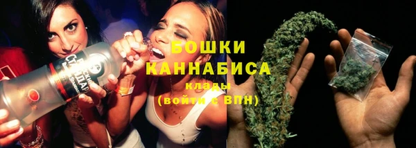 ECSTASY Богородицк