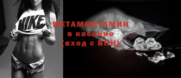 ГАЛЛЮЦИНОГЕННЫЕ ГРИБЫ Богданович