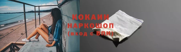 mix Бородино
