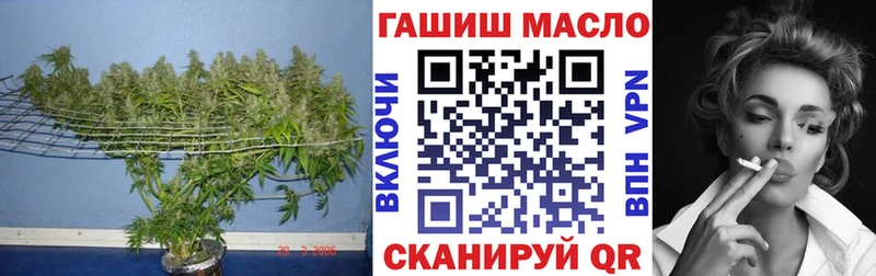 ТГК вейп  Купить закладки  Княгинино 