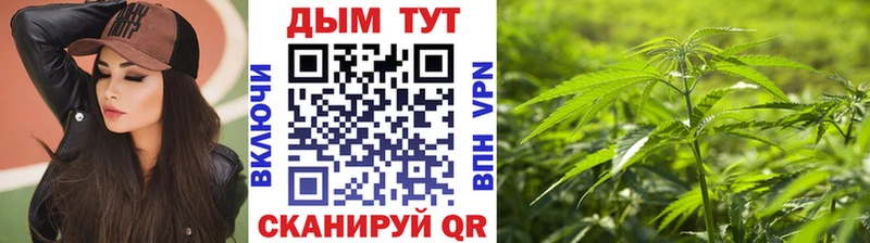 МАРИХУАНА SATIVA & INDICA Княгинино
