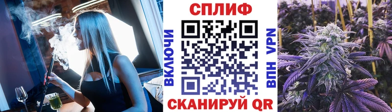 Купить  Княгинино  Каннабис сатива 